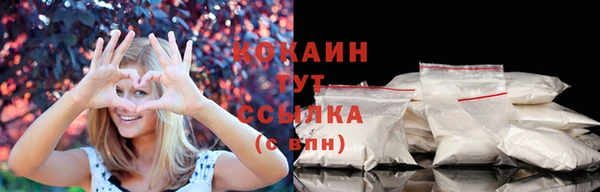 альфа пвп Заводоуковск