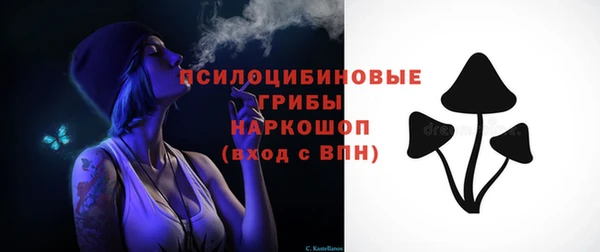 2c-b Зеленодольск